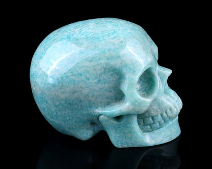 3.0" Amazonite Hand Carved Crystal Realistic Skull Sculpture Crystallumi