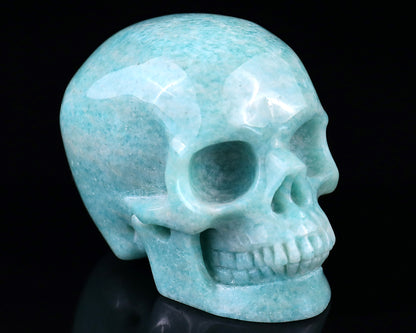 3.0" Amazonite Hand Carved Crystal Realistic Skull Sculpture Crystallumi