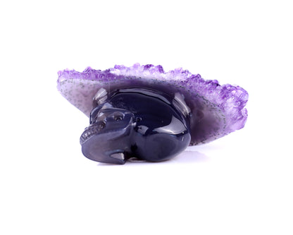 3.0" Amethyst Druse Agate Hand Carved Crystal Mineral Specimen Skull Sculpture Crystallumi