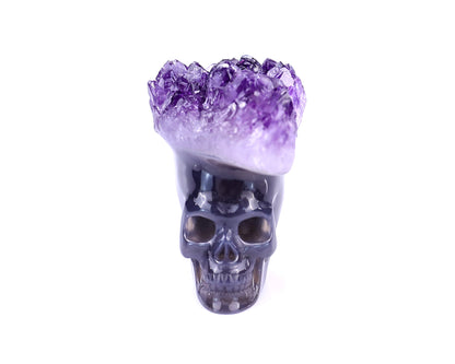 3.0" Amethyst Druse Agate Hand Carved Crystal Mineral Specimen Skull Sculpture Crystallumi