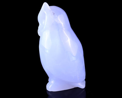 3.0" Blue Chalcedony Hand Carved Crystal Owl Sculpture Crystallumi