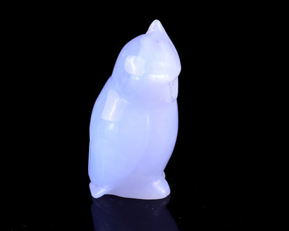 3.0" Blue Chalcedony Hand Carved Crystal Owl Sculpture Crystallumi