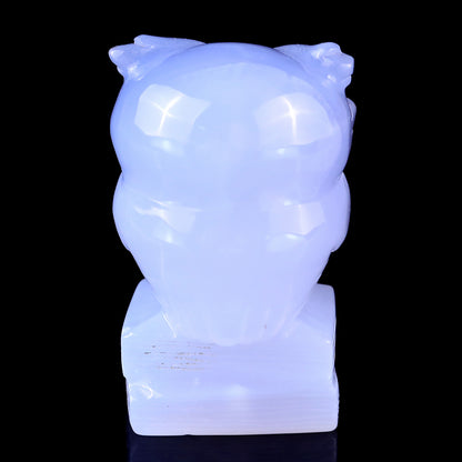 3.0" Blue Chalcedony Hand Carved Crystal Owl Sculpture Crystallumi