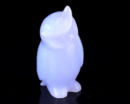 3.0" Blue Chalcedony Hand Carved Crystal Owl Sculpture Crystallumi