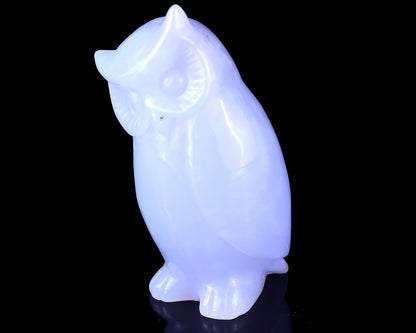 3.0" Blue Chalcedony Hand Carved Crystal Owl Sculpture Crystallumi