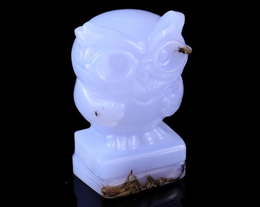 3.0" Blue Chalcedony Hand Carved Crystal Owl Sculpture Crystallumi