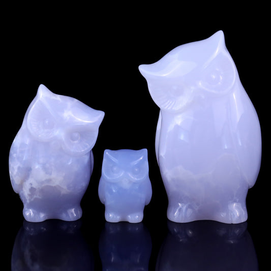 3.0" Blue Chalcedony Hand Carved Crystal Owl’s Family Sculpture Crystallumi