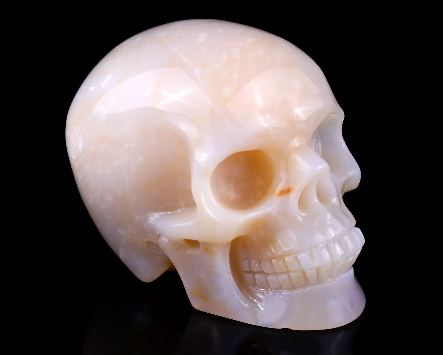 3.0" Chalcedony Hand Carved Crystal Realistic Skull Sculpture Crystallumi