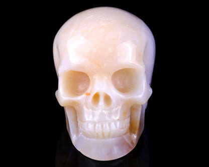 3.0" Chalcedony Hand Carved Crystal Realistic Skull Sculpture Crystallumi