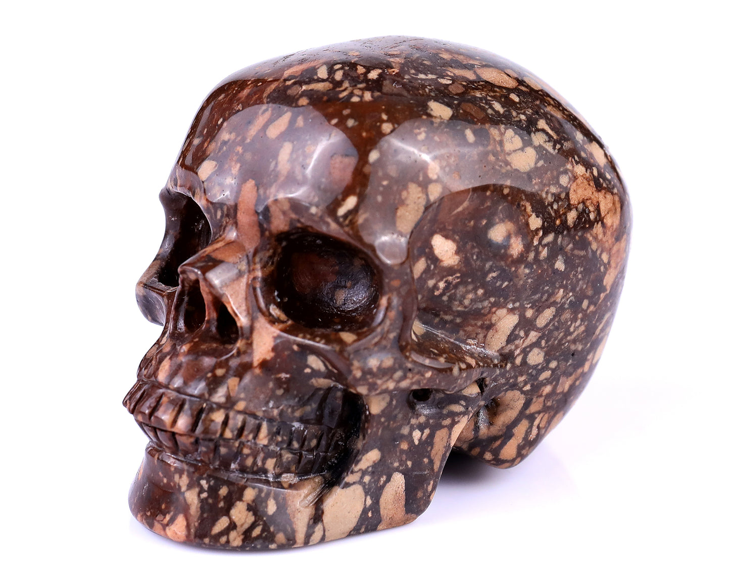 3.0" Coffee Stone Hand Carved Crystal Realistic Skull Sculpture Crystallumi