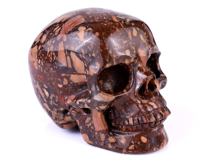 3.0" Coffee Stone Hand Carved Crystal Realistic Skull Sculpture Crystallumi