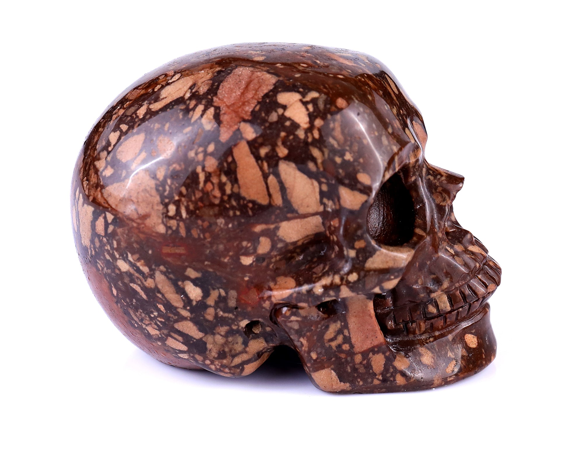 3.0" Coffee Stone Hand Carved Crystal Realistic Skull Sculpture Crystallumi