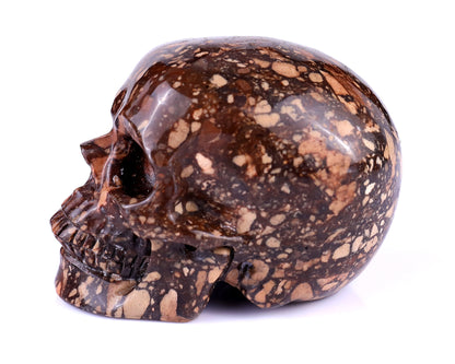 3.0" Coffee Stone Hand Carved Crystal Realistic Skull Sculpture Crystallumi