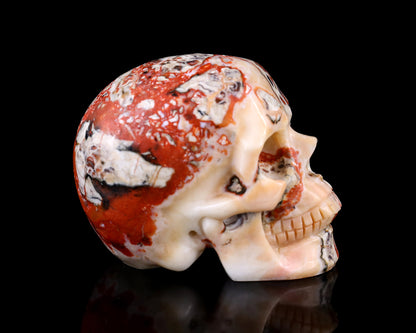 3.0" Coin Agate Hand Carved Crystal Realistic Skull Sculpture Crystallumi