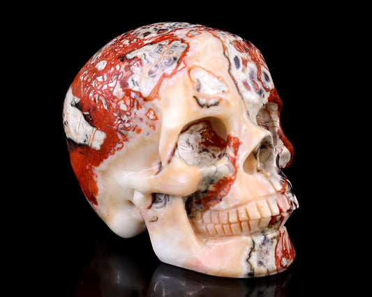 3.0" Coin Agate Hand Carved Crystal Realistic Skull Sculpture Crystallumi