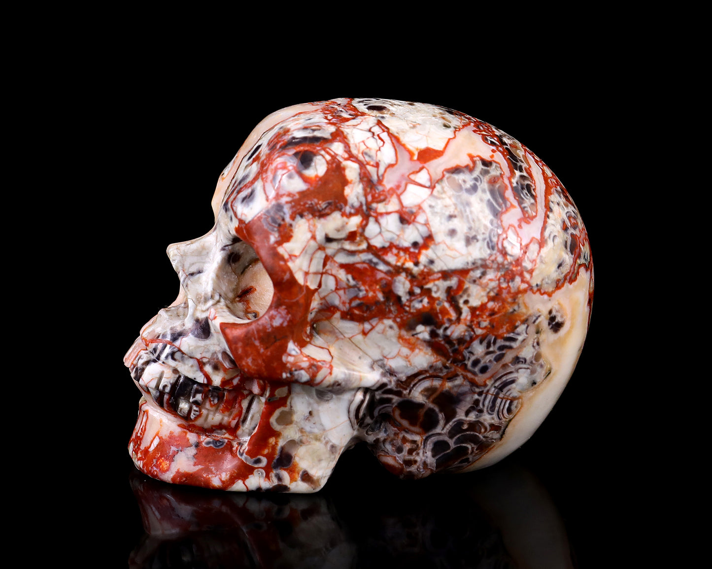 3.0" Coin Agate Hand Carved Crystal Realistic Skull Sculpture Crystallumi