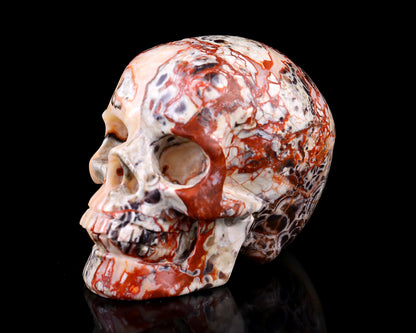 3.0" Coin Agate Hand Carved Crystal Realistic Skull Sculpture Crystallumi