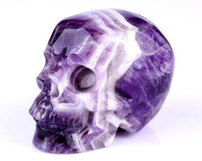 3.0" Dream Amethyst Hand Carved Crystal Realistic Skull Sculpture Crystallumi