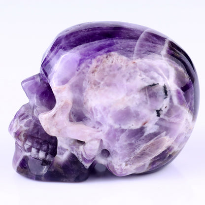 3.0" Dream Amethyst Hand Carved Crystal Realistic Skull Sculpture Crystallumi