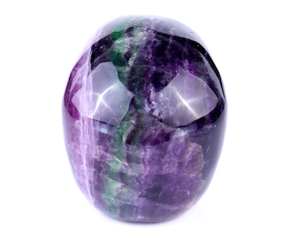 3.0" Fluorite Hand Carved Crystal Realistic Skull Sculpture Crystallumi