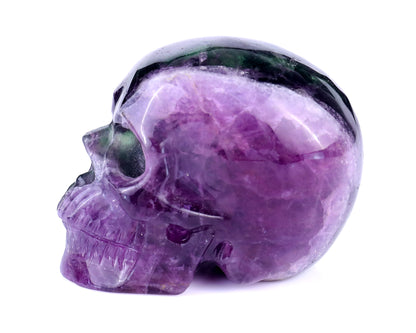 3.0" Fluorite Hand Carved Crystal Realistic Skull Sculpture Crystallumi