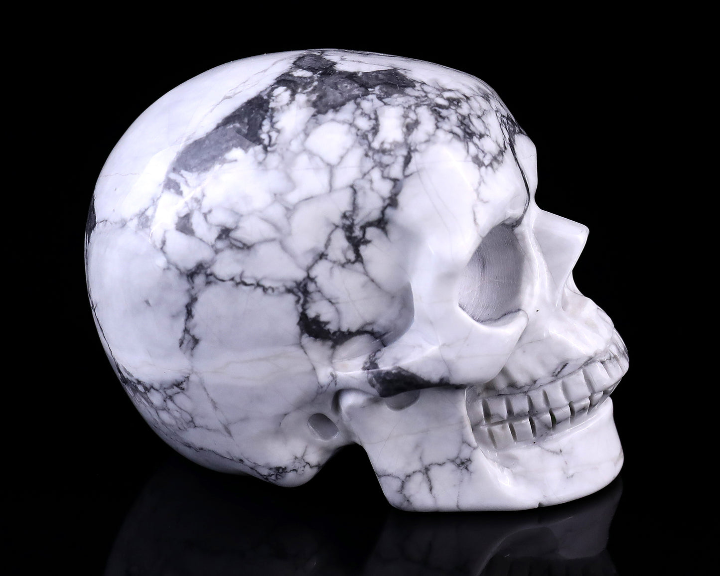 3.0" Howlite Hand Carved Crystal Realistic Skull Sculpture Crystallumi