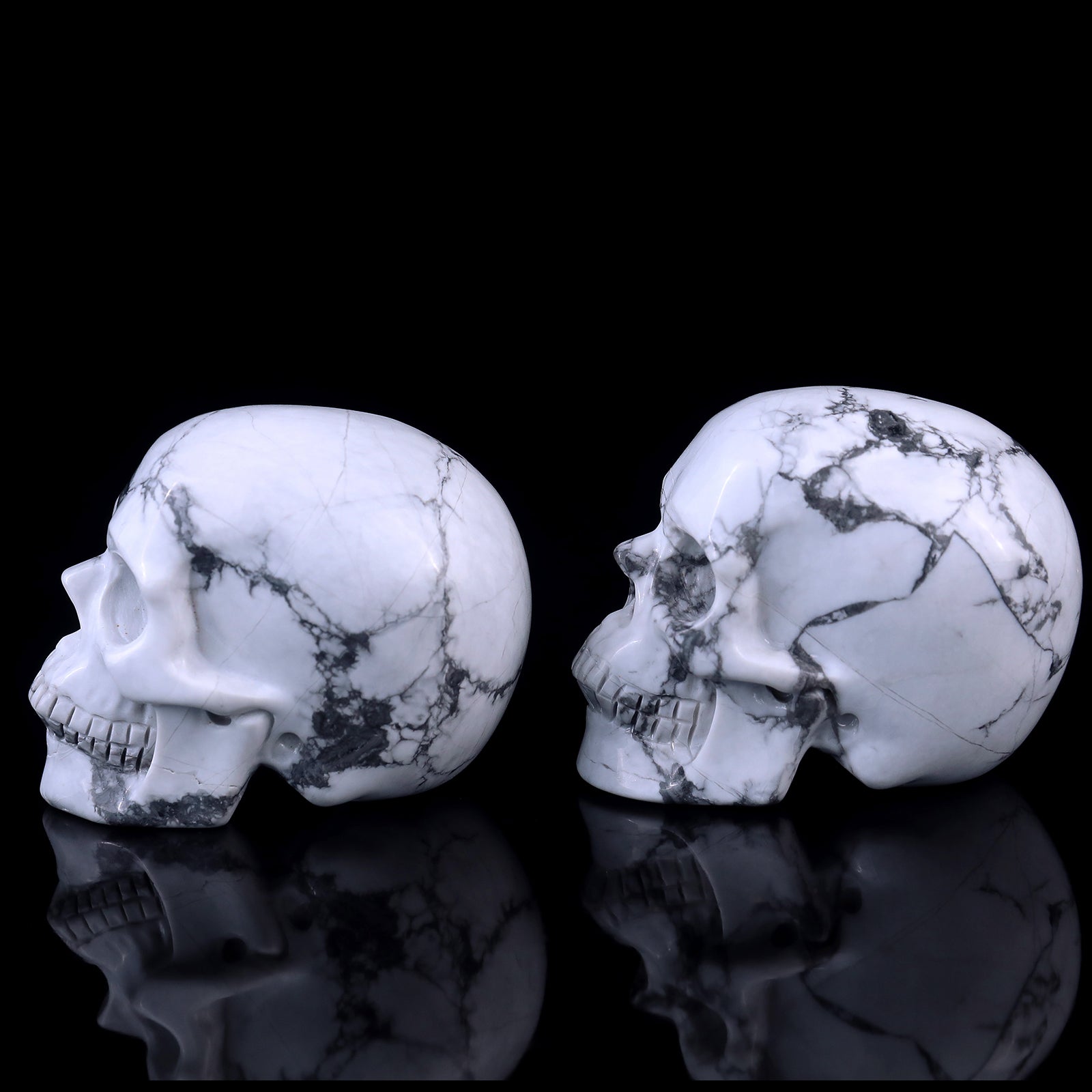 3.0" Howlite Hand Carved Crystal Realistic Skull Sculpture Crystallumi