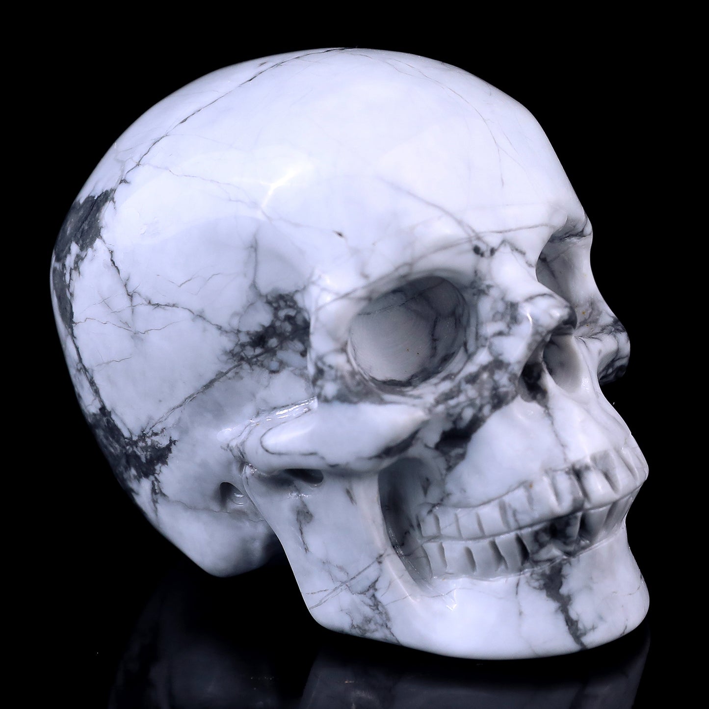 3.0" Howlite Hand Carved Crystal Realistic Skull Sculpture Crystallumi