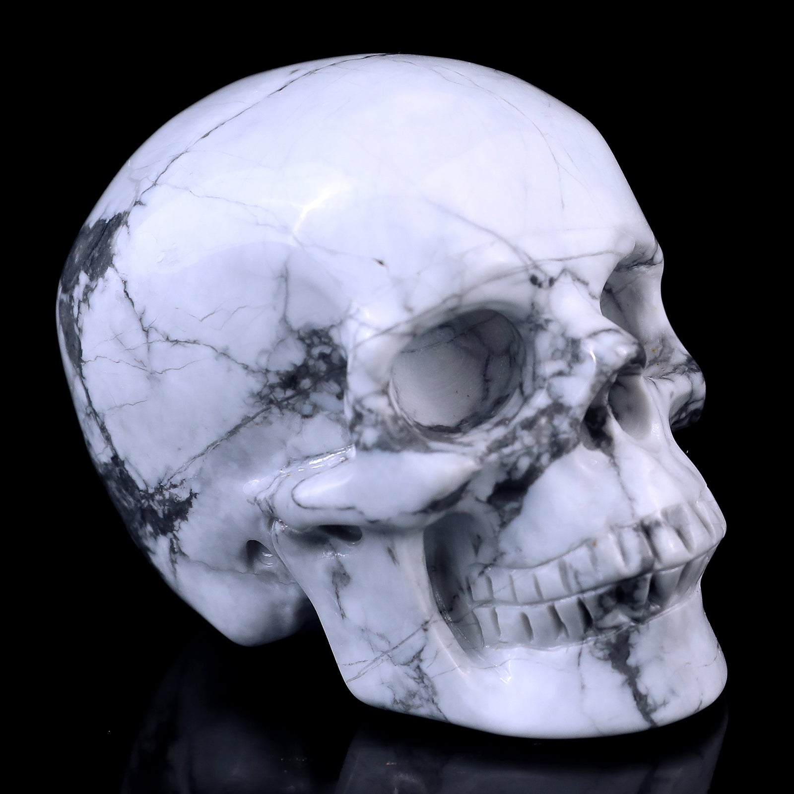 3.0" Howlite Hand Carved Crystal Realistic Skull Sculpture Crystallumi