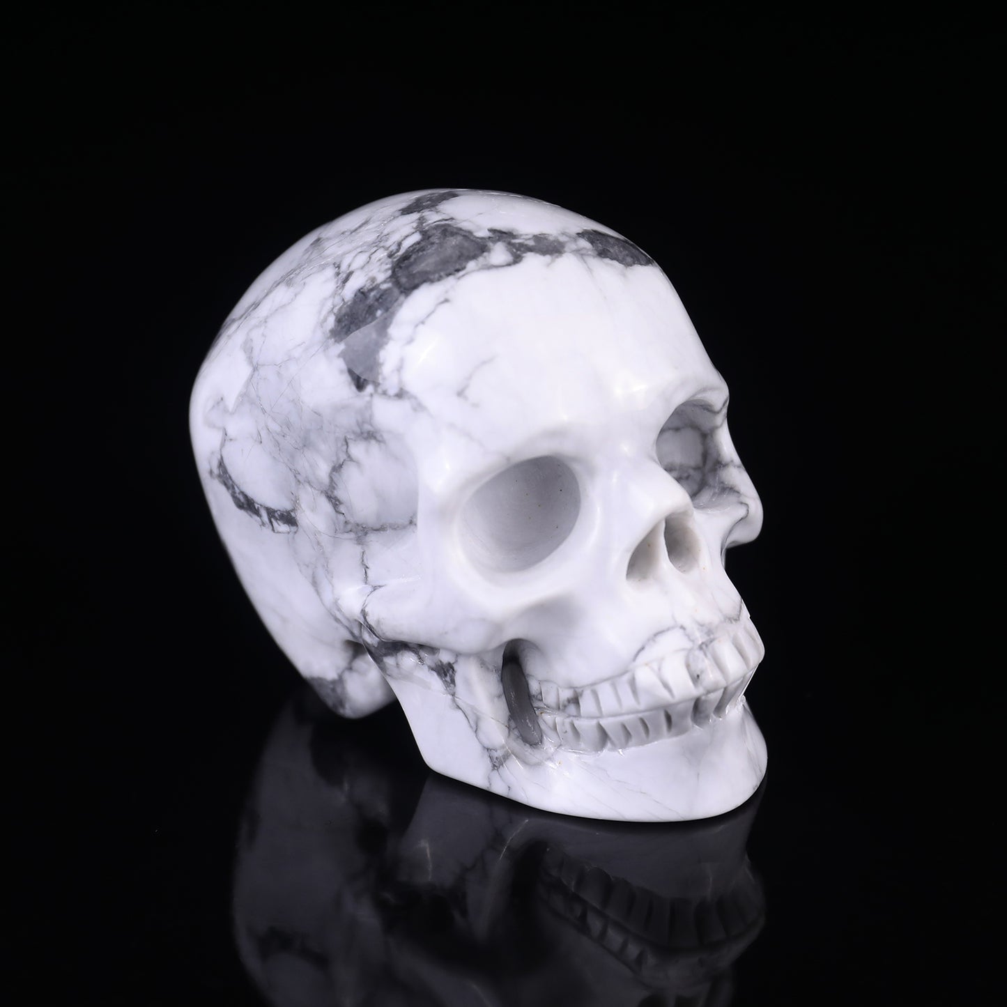 3.0" Howlite Hand Carved Crystal Realistic Skull Sculpture Crystallumi