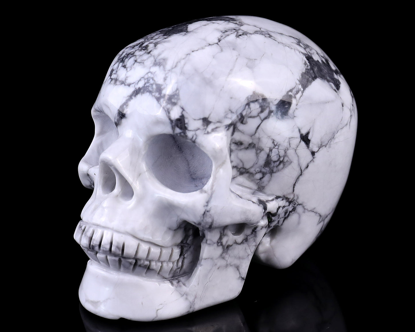 3.0" Howlite Hand Carved Crystal Realistic Skull Sculpture Crystallumi