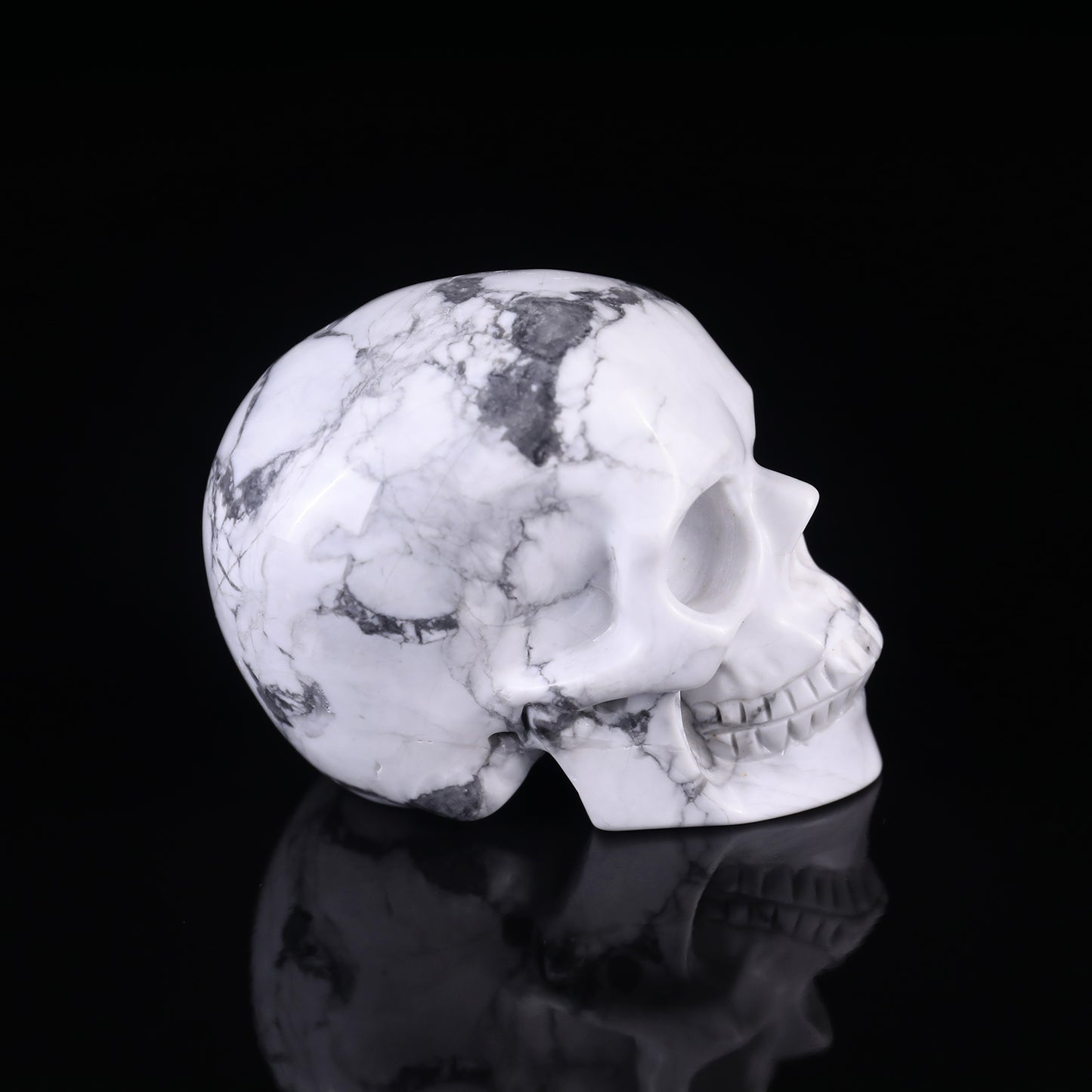 3.0" Howlite Hand Carved Crystal Realistic Skull Sculpture Crystallumi