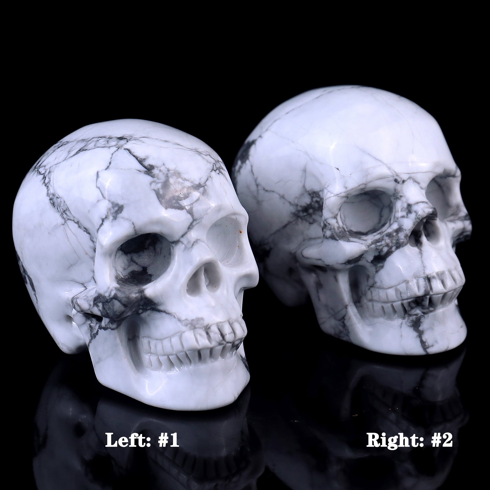 3.0" Howlite Hand Carved Crystal Realistic Skull Sculpture Crystallumi