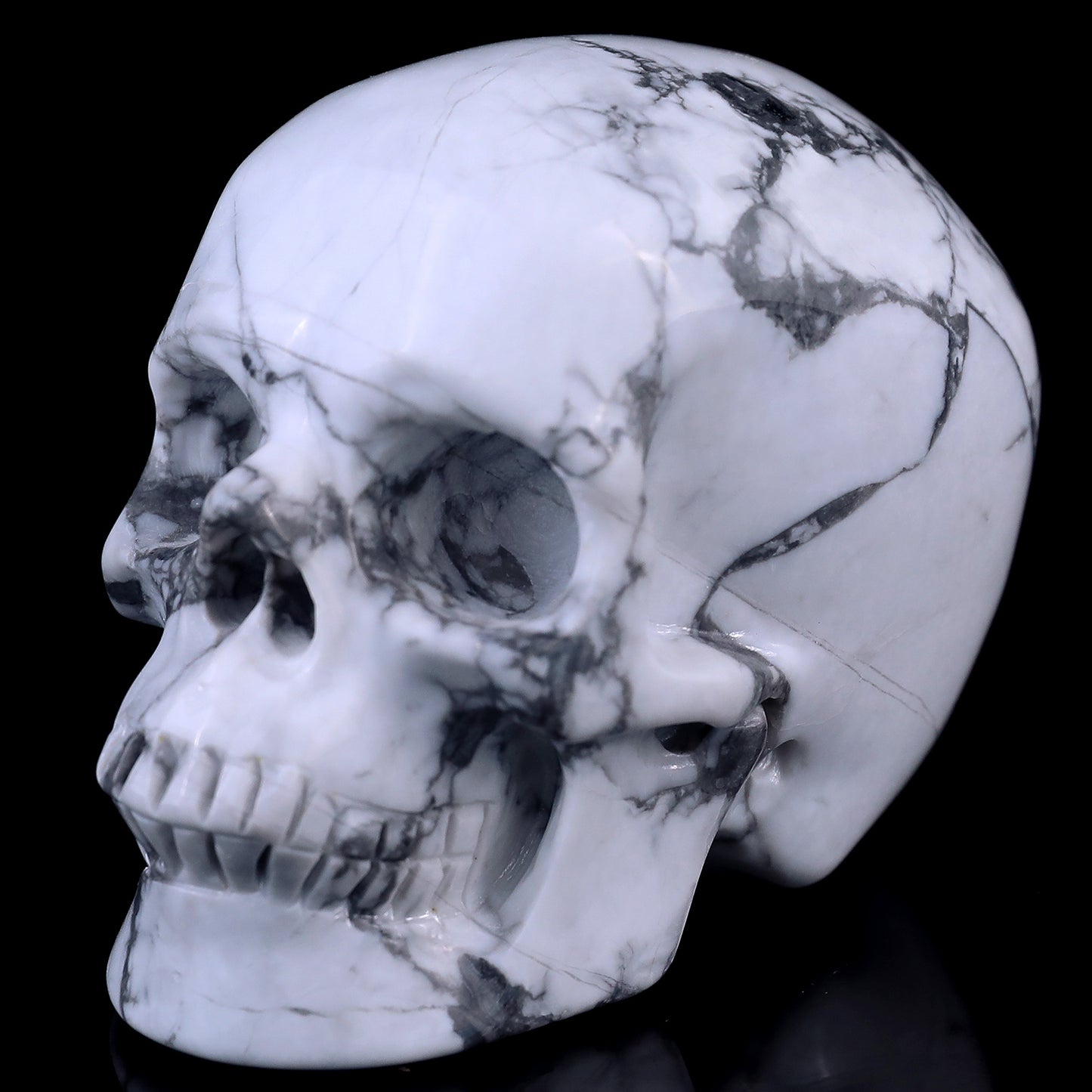 3.0" Howlite Hand Carved Crystal Realistic Skull Sculpture Crystallumi