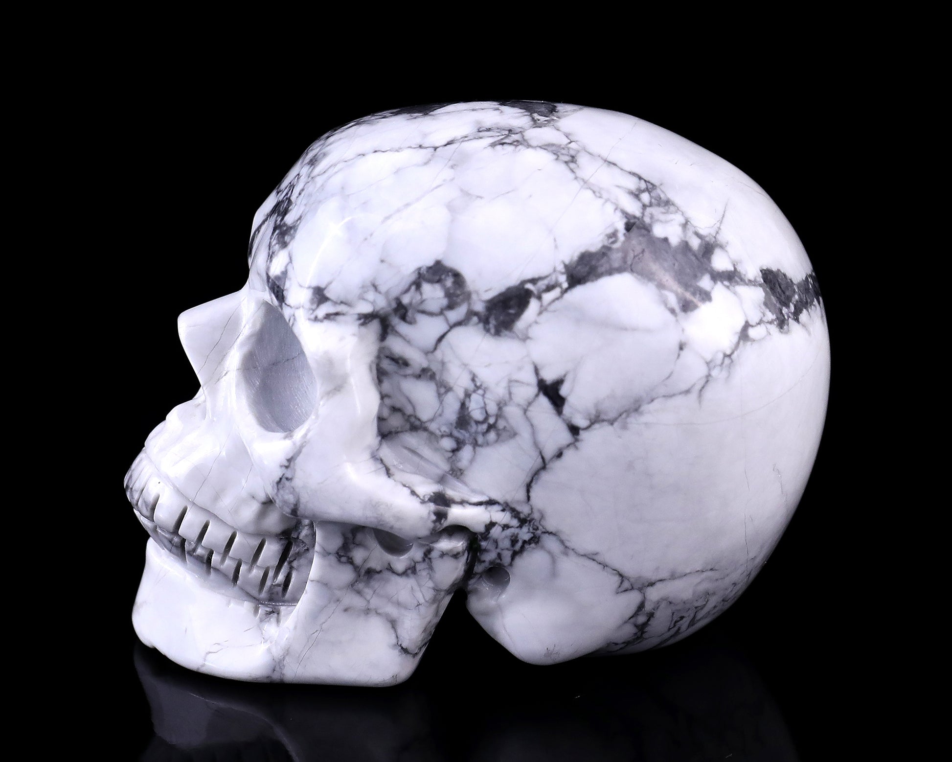 3.0" Howlite Hand Carved Crystal Realistic Skull Sculpture Crystallumi