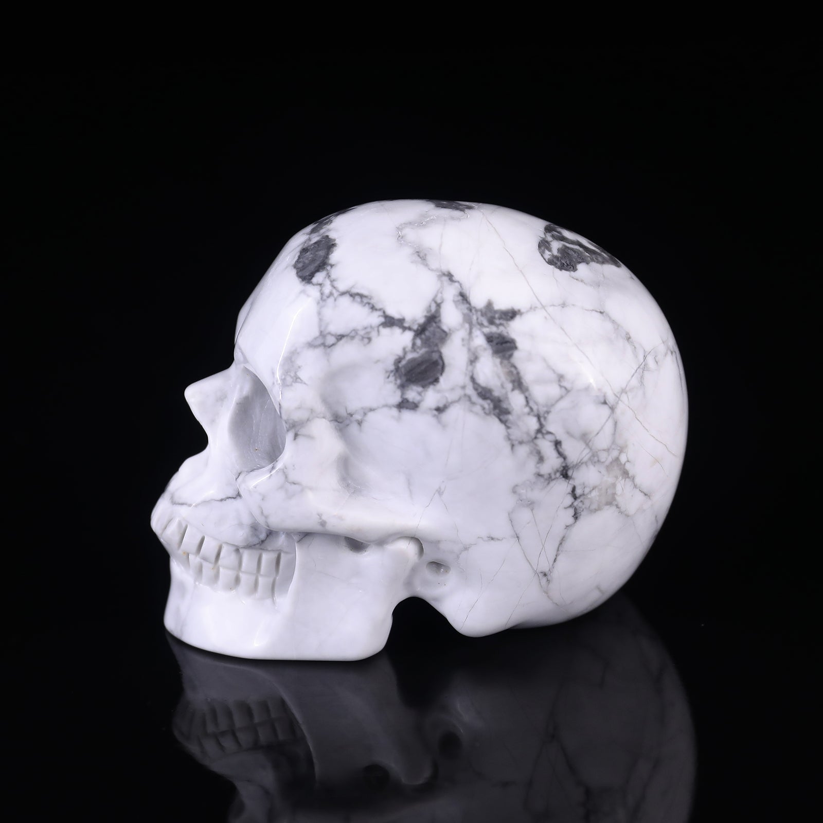 3.0" Howlite Hand Carved Crystal Realistic Skull Sculpture Crystallumi