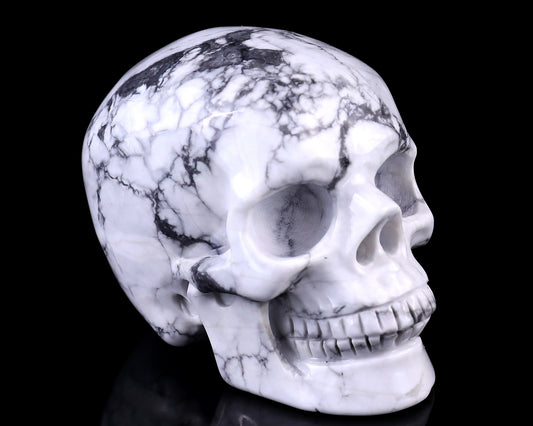 3.0" Howlite Hand Carved Crystal Realistic Skull Sculpture Crystallumi