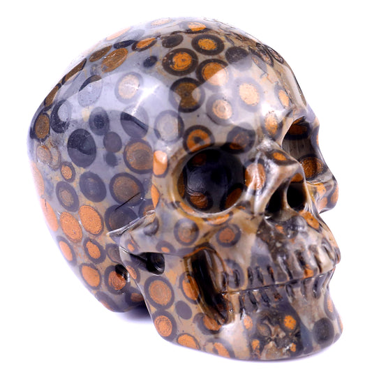 3.0" Leopard Skin Jasper Hand Carved Crystal Realistic Skull Sculpture Crystallumi