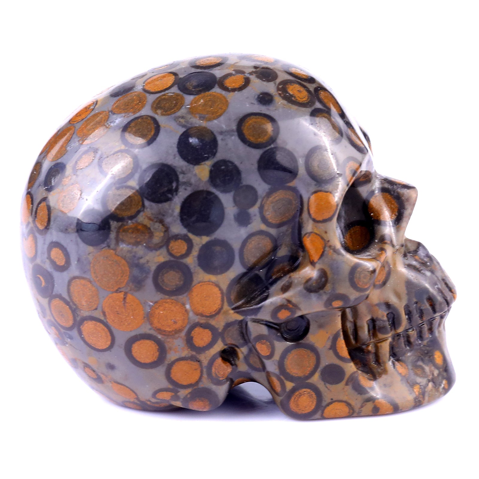 3.0" Leopard Skin Jasper Hand Carved Crystal Realistic Skull Sculpture Crystallumi