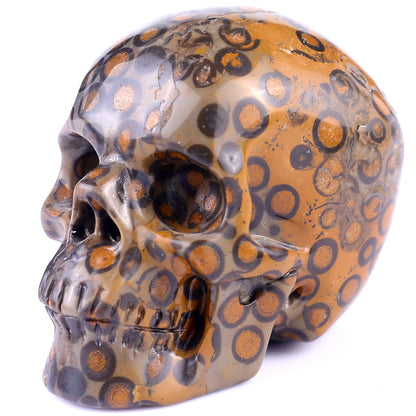 3.0" Leopard Skin Jasper Hand Carved Crystal Realistic Skull Sculpture Crystallumi