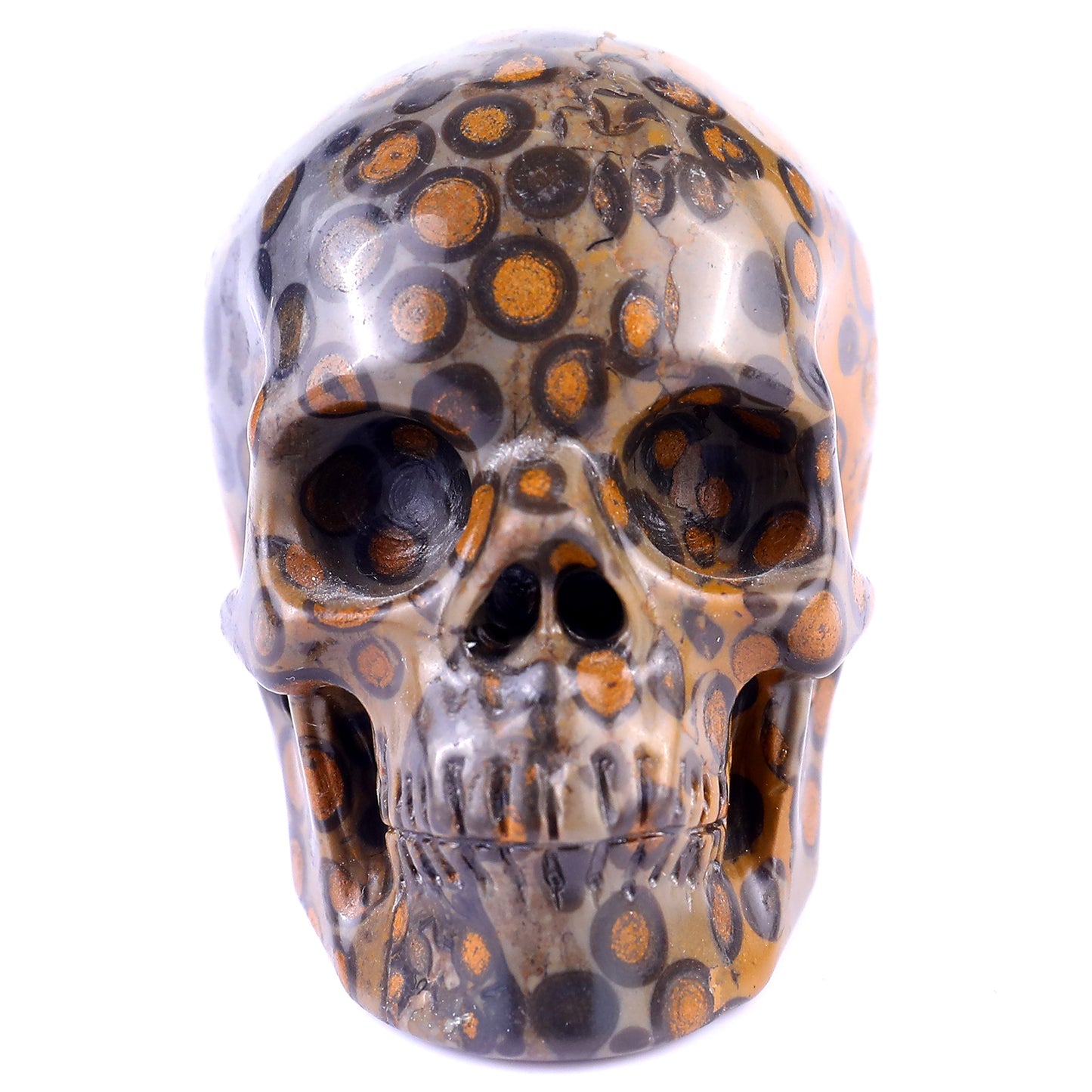 3.0" Leopard Skin Jasper Hand Carved Crystal Realistic Skull Sculpture Crystallumi