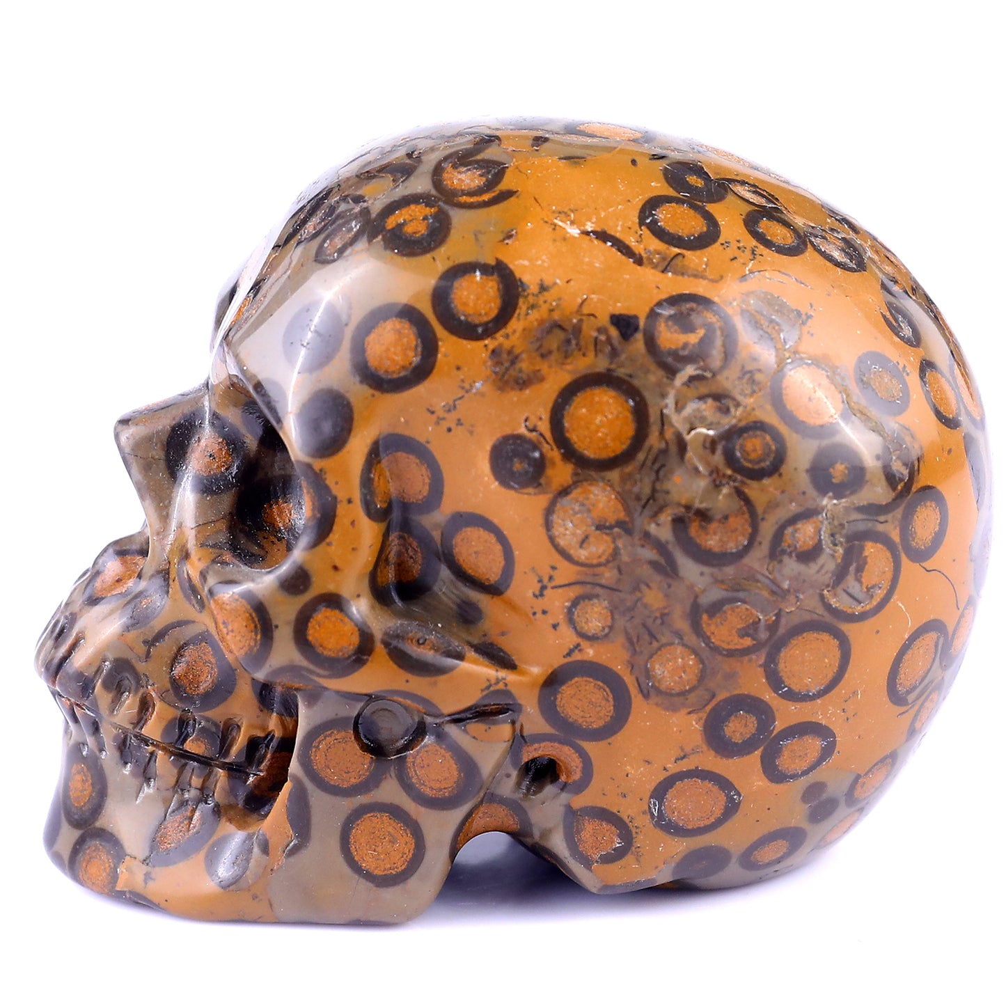 3.0" Leopard Skin Jasper Hand Carved Crystal Realistic Skull Sculpture Crystallumi