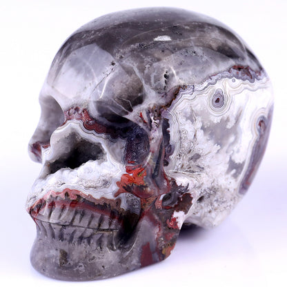 3.0" Red Crazy Lace Agate Hand Carved Crystal Geode Skull Sculpture Crystallumi