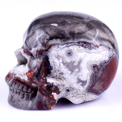 3.0" Red Crazy Lace Agate Hand Carved Crystal Geode Skull Sculpture Crystallumi