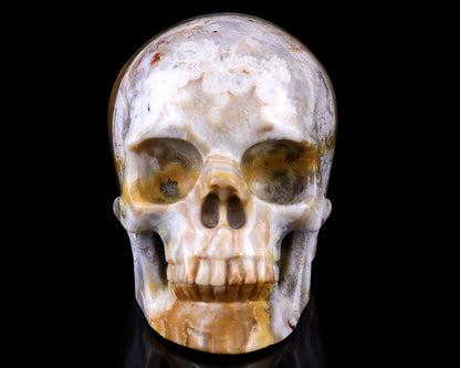 3.0" Red Crazy Lace Agate Hand Carved Crystal Realistic Skull Sculpture Crystallumi