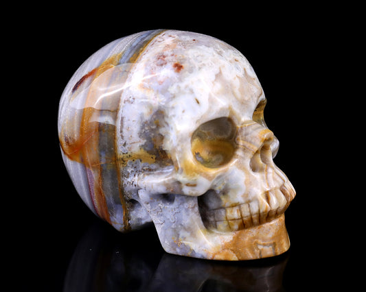 3.0" Red Crazy Lace Agate Hand Carved Crystal Realistic Skull Sculpture Crystallumi