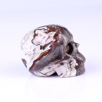 3.0" Red Crazy Lace Agate Hand Carved Crystal Realistic Skull Sculpture Crystallumi