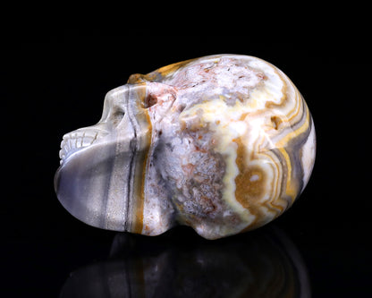 3.0" Red Crazy Lace Agate Hand Carved Crystal Realistic Skull Sculpture Crystallumi