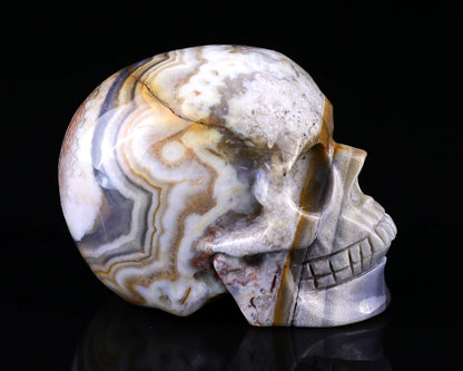 3.0" Red Crazy Lace Agate Hand Carved Crystal Realistic Skull Sculpture Crystallumi