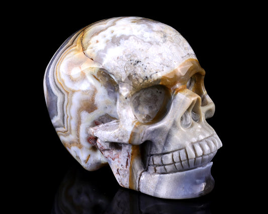 3.0" Red Crazy Lace Agate Hand Carved Crystal Realistic Skull Sculpture Crystallumi